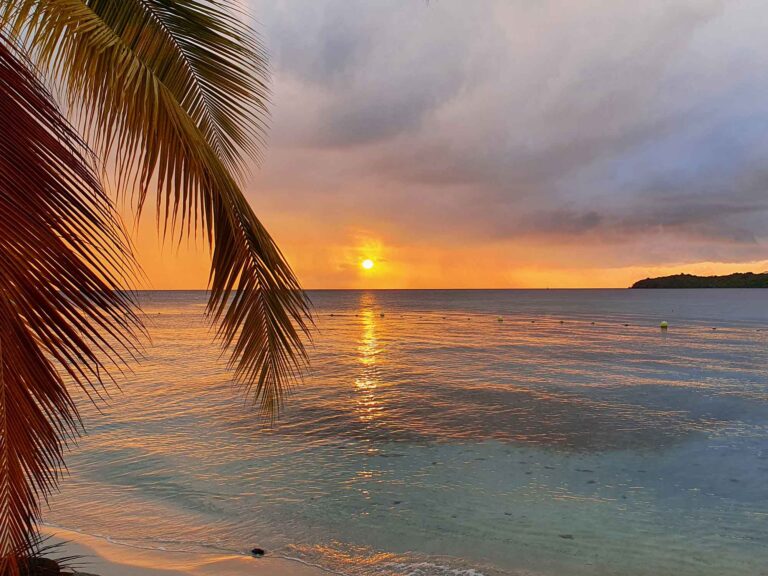 Les premières semaines en Martinique